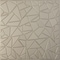 Ekena Millwork 19 5/8in. W x 19 5/8in. H Elwod EnduraWall Decorative 3D Wall Panel Covers 2.67 Sq. Ft. WP20X20EWCSV - alternate 1